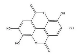product-267-188 product-267-188