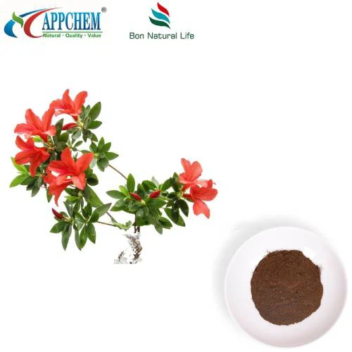 ダフリアンシャクナゲ葉エキス