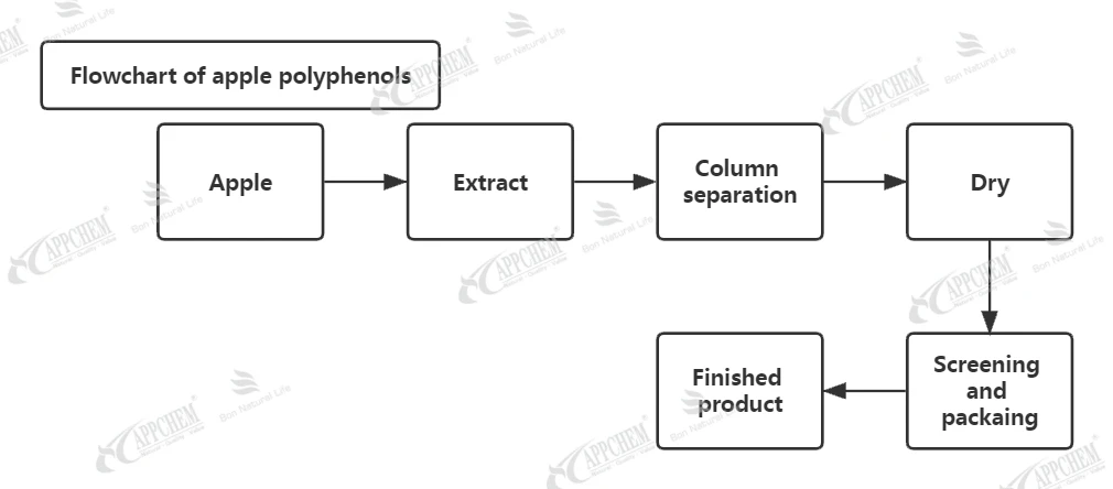 Flowchart of apple polyphenols Flowchart of apple polyphenols